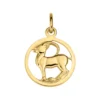 Sternzeichen Steinbock 21703 333/- Gelbgold